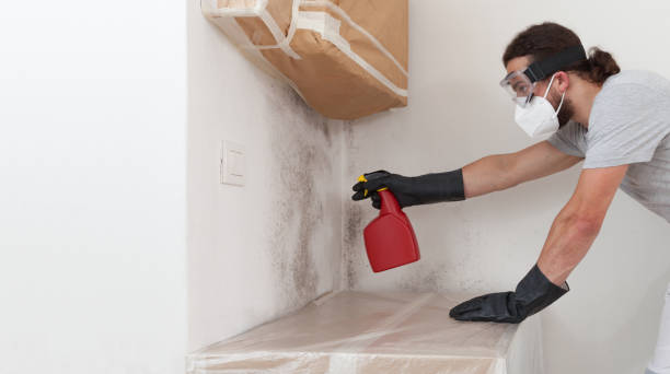 Professional Bathroom Mold Removal technician working in Greenbrier, TN